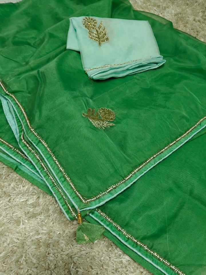 Pure Organza Hand work saree With Blouse.