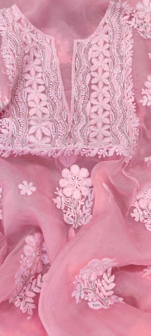Pure Organza Silk Hand Chikankari Embroidery And Pearl Cut Dana Work U –  fab-persona