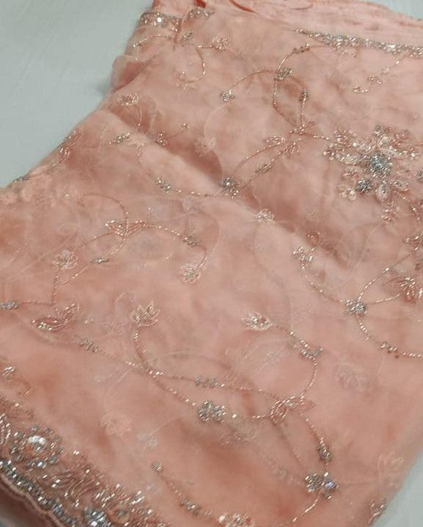 Pure Organza Silk Hand Full Zall Work Saree With Running Blouse.