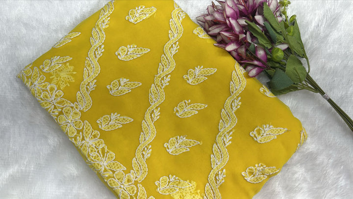Pure Chiffon Chikankari Half Jaal Work Hand Embroidery Saree with Blouse