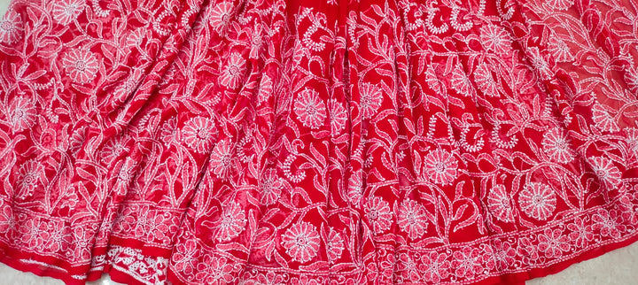 Pure Chiffon Georgette Chikankari Half Jaal Work Hand Embroidery Saree with Blouse