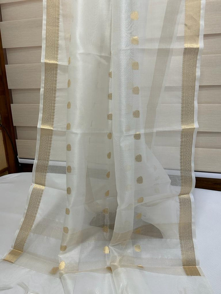 PURE ORGANZA SILK BORDER BOOTI DYABLE DUPATTA