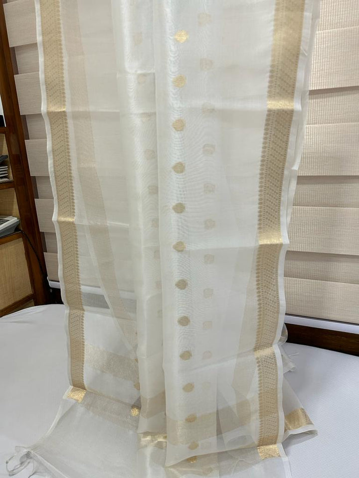 PURE ORGANZA SILK BORDER BOOTI DYABLE DUPATTA