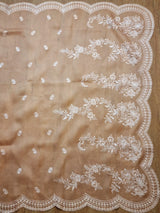 Exclusive Pure Organza Silk Saree With thread Embroidery |LIMITED EDITION|
