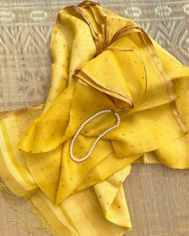 Exclusive Bengal Handloom Muslin Silk Saree with All Over Sequence Work