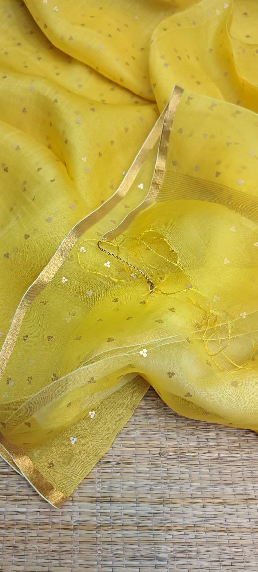 Exclusive Bengal Handloom Muslin Silk Saree with All Over Sequence Work