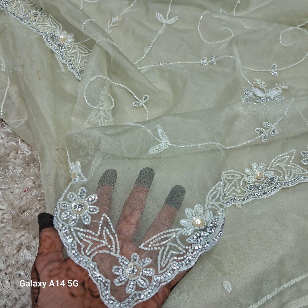 Pure Organza Silk Hand Full Zall  Work Saree With Running Blouse.