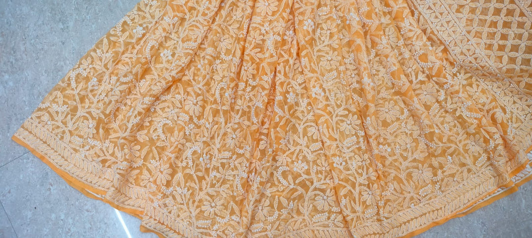 Pure Chiffon Georgette Chikankari Full Jaal Work Hand Embroidery Saree with Blouse