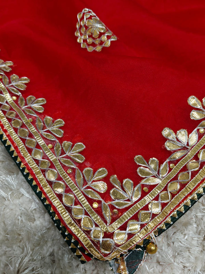 Pure Organza Gota pati work saree With Blouse.