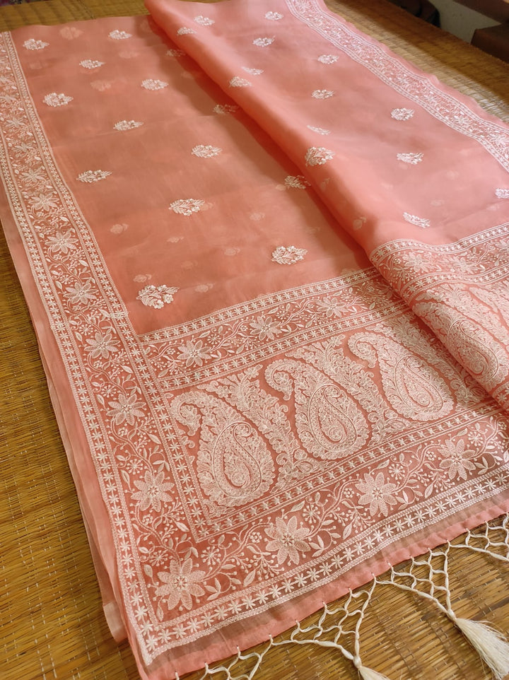 Pure Organza Silk Chikankari Embroidery Work  Saree .