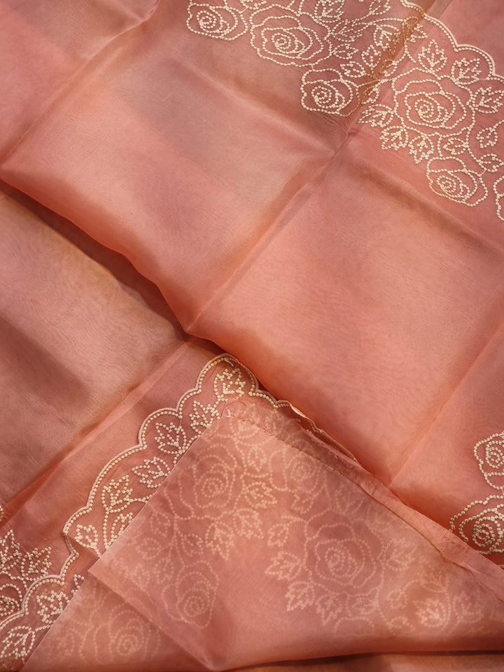 Pure Organza Silk Pearl Embroidery Cutwork Border Saree .