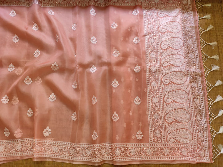 Pure Organza Silk Chikankari Embroidery Work  Saree .