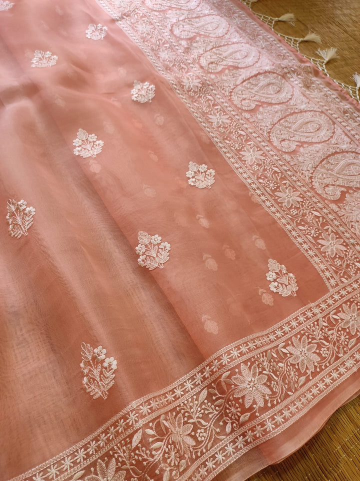 Pure Organza Silk Chikankari Embroidery Work  Saree .