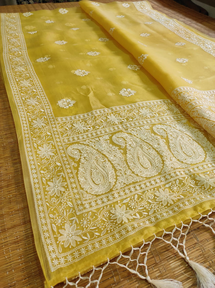 Pure Organza Silk Chikankari Embroidery Work  Saree .