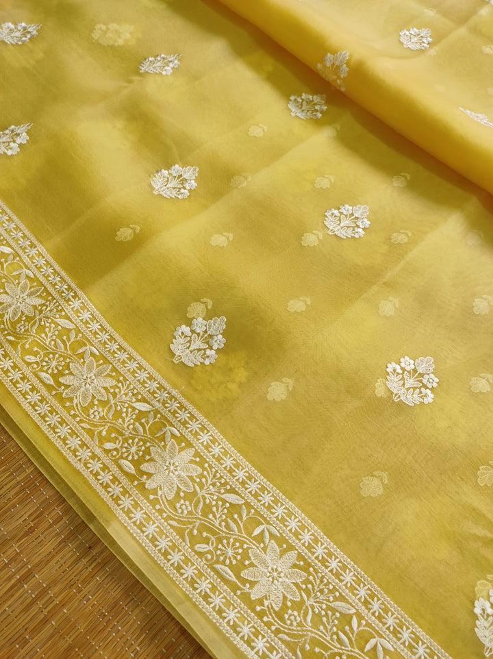 Pure Organza Silk Chikankari Embroidery Work  Saree .