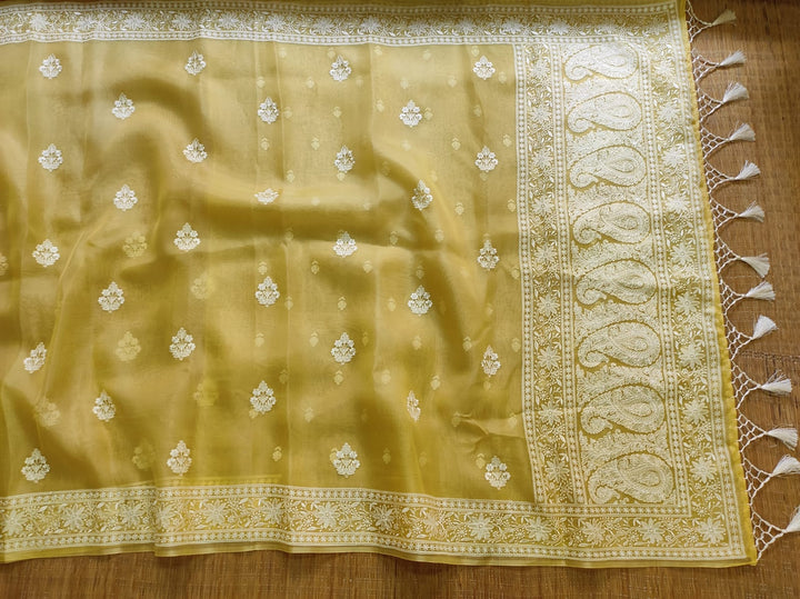 Pure Organza Silk Chikankari Embroidery Work  Saree .