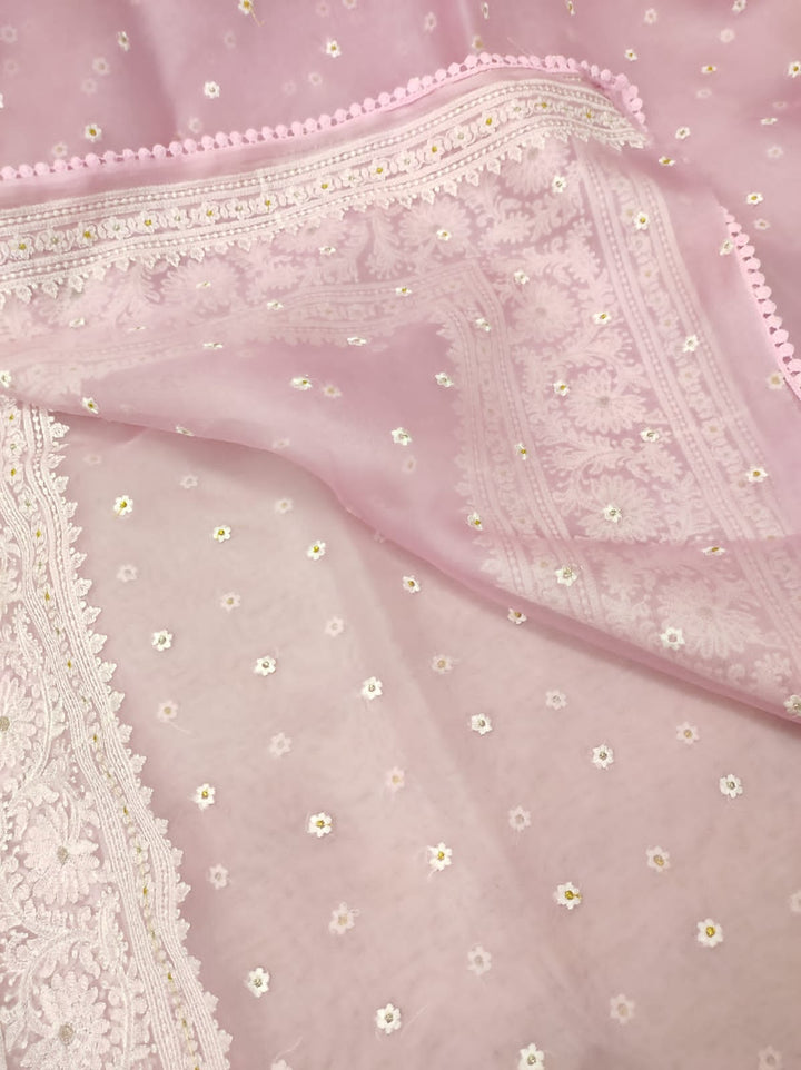 Pure Organza Silk Chikankari Embroidery Work  Saree .