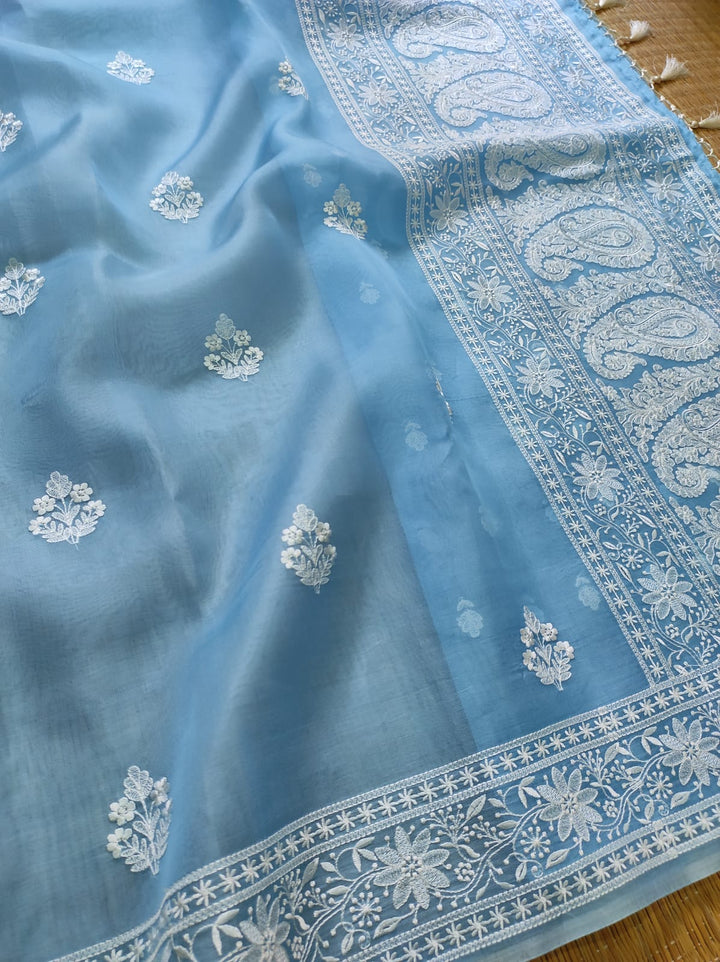 Pure Organza Silk Chikankari Embroidery Work  Saree .