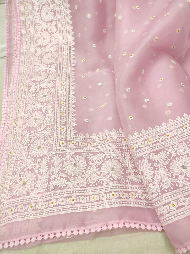 Pure Organza Silk Chikankari Embroidery Work  Saree .