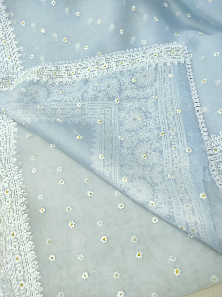 Pure Organza Silk Chikankari Embroidery Work  Saree .