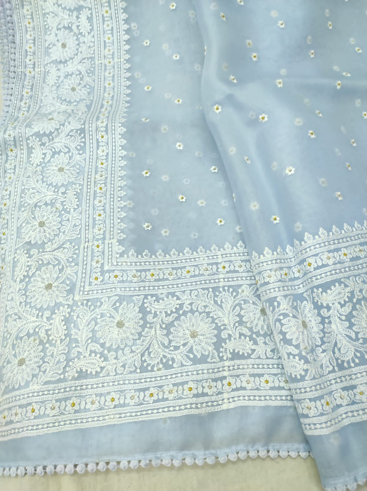 Pure Organza Silk Chikankari Embroidery Work  Saree .