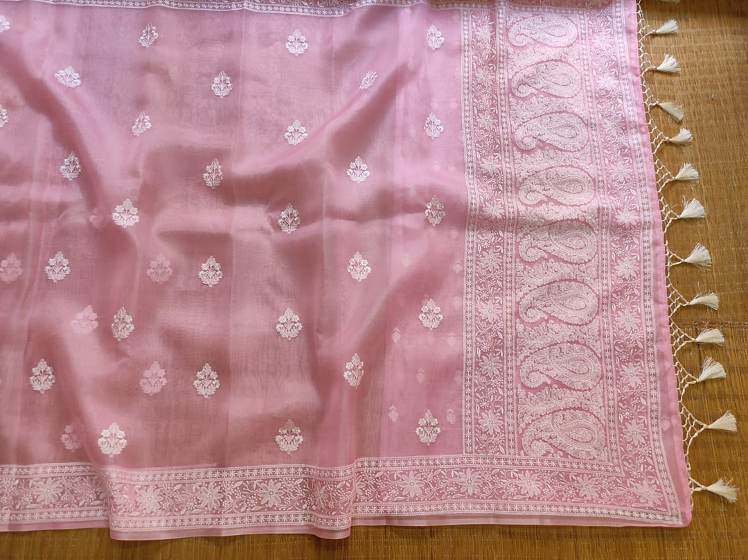 Pure Organza Silk Chikankari Embroidery Work  Saree .