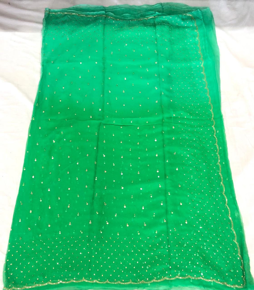 Pure Chiffon Mirror Chandla Hand Work Saree With Running Blouse.