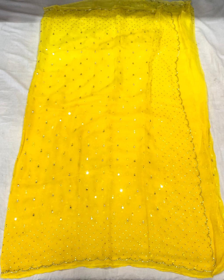 Pure Chiffon Mirror Chandla Hand Work Saree With Running Blouse.