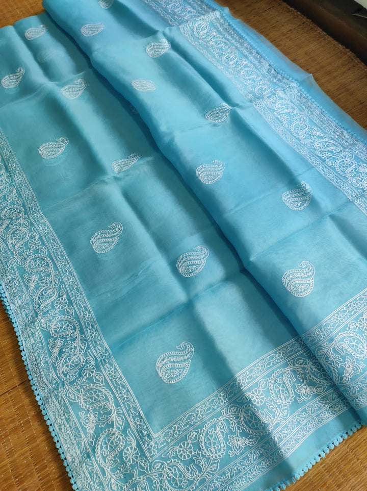 Pure Organza Silk Saree Kari Buit / Crochet Lace Work With Blouse.