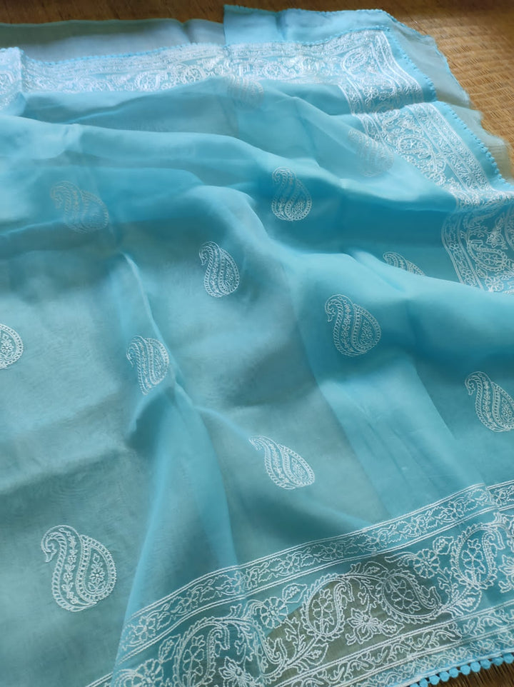 Pure Organza Silk Saree Kari Buit / Crochet Lace Work With Blouse.