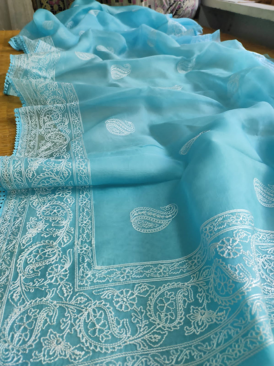 Pure Organza Silk Saree Kari Buit / Crochet Lace Work With Blouse.