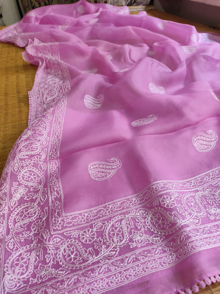 Pure Organza Silk Saree Kari Buit / Crochet Lace Work With Blouse.